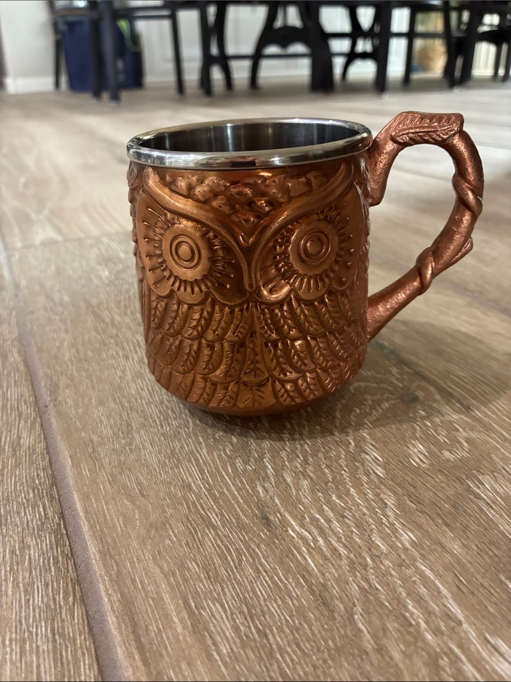 Pier 1 Copper Owl Mug with Stainless Steel Rim